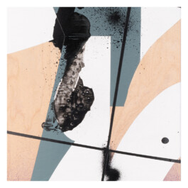 2024.skateboarts.com