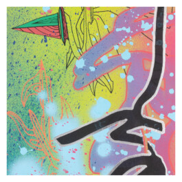 2024.skateboarts.com