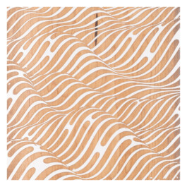 2024.skateboarts.com