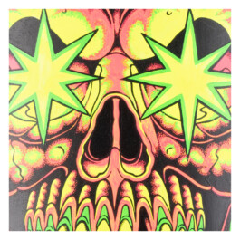 2024.skateboarts.com