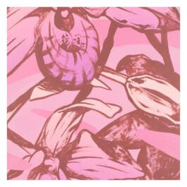 2024.skateboarts.com