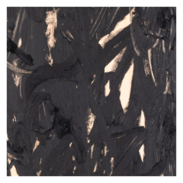 2024.skateboarts.com