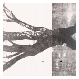 2024.skateboarts.com