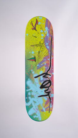 2024.skateboarts.com