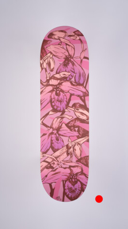 2024.skateboarts.com