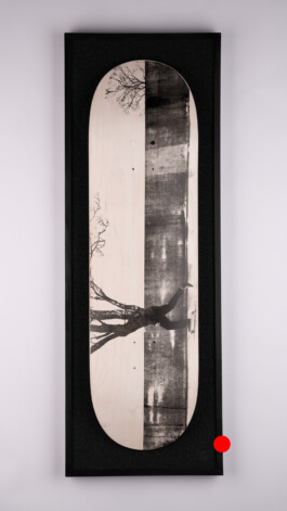 2024.skateboarts.com